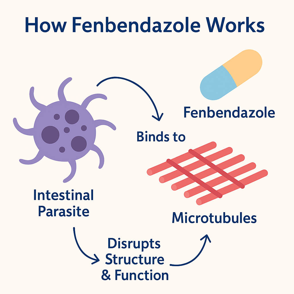 Last Day Promotion✨49% OFF🎁-Fenbondaznlo 444 mg Capsules – >99% Purity Certified, 90 capsules|Deworming
