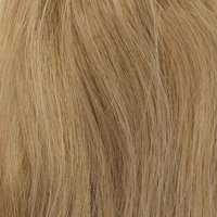 Hairline Booster Band – Limited Stock, Upgrade Your Look Today!🔥