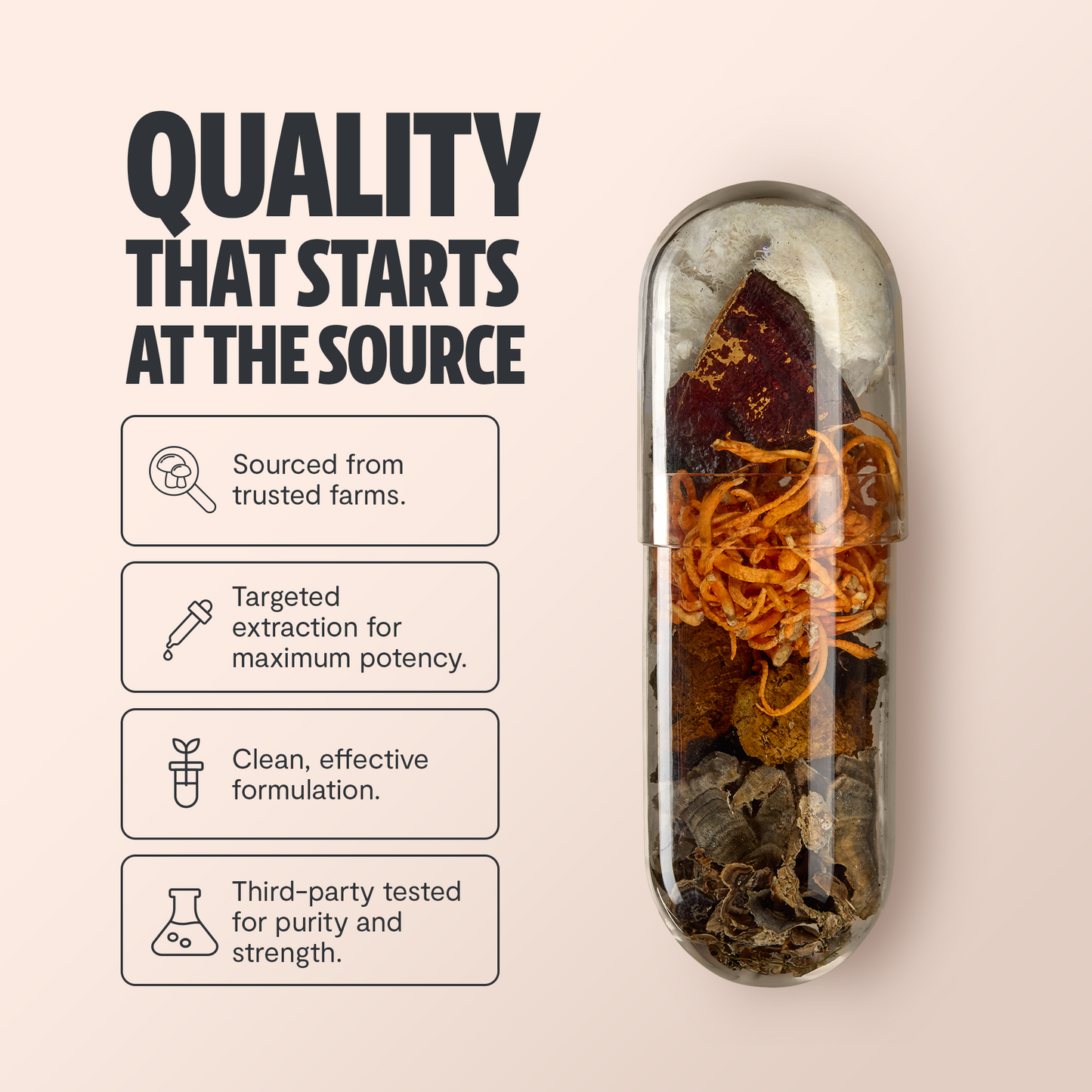 Organic Mushroom Complex Supplement Capsules
